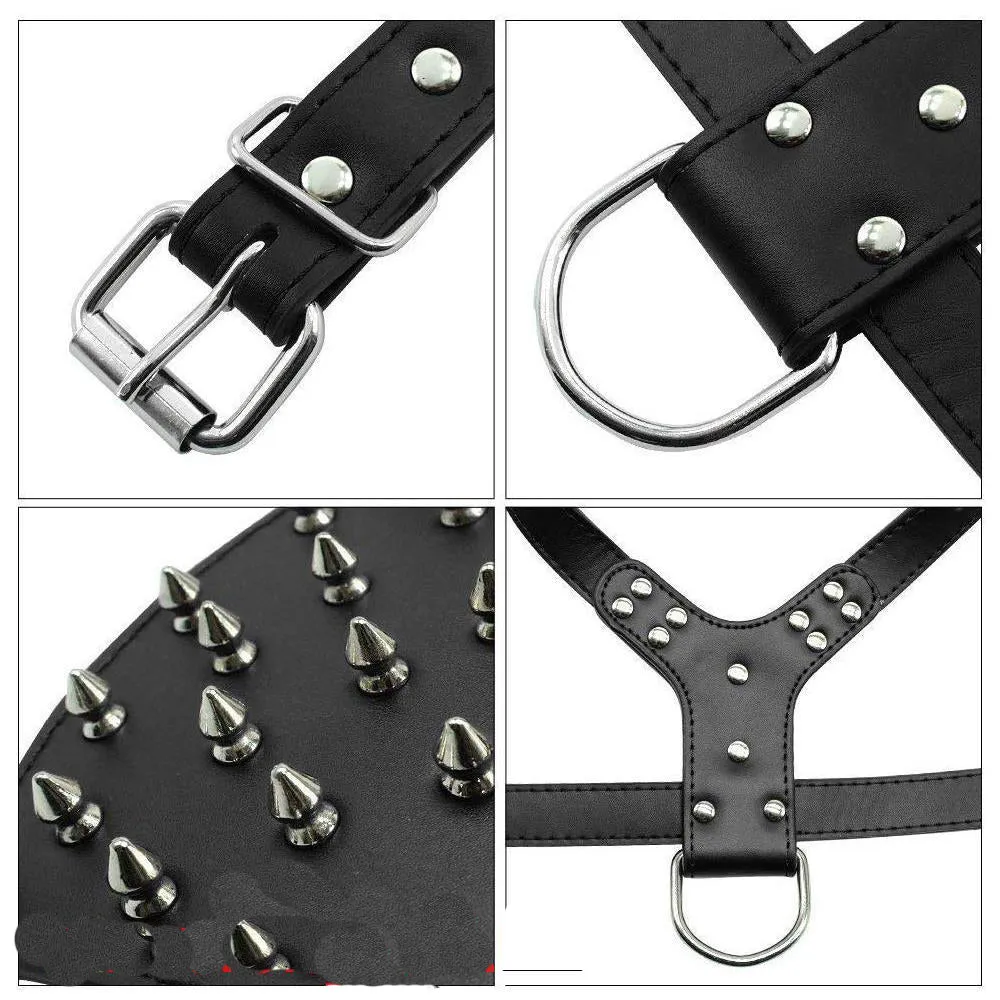 Furry Friend Leather Spiked Dog Harness