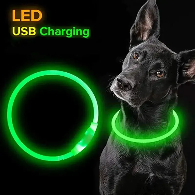 Safety Flashing Glow Dog Collar