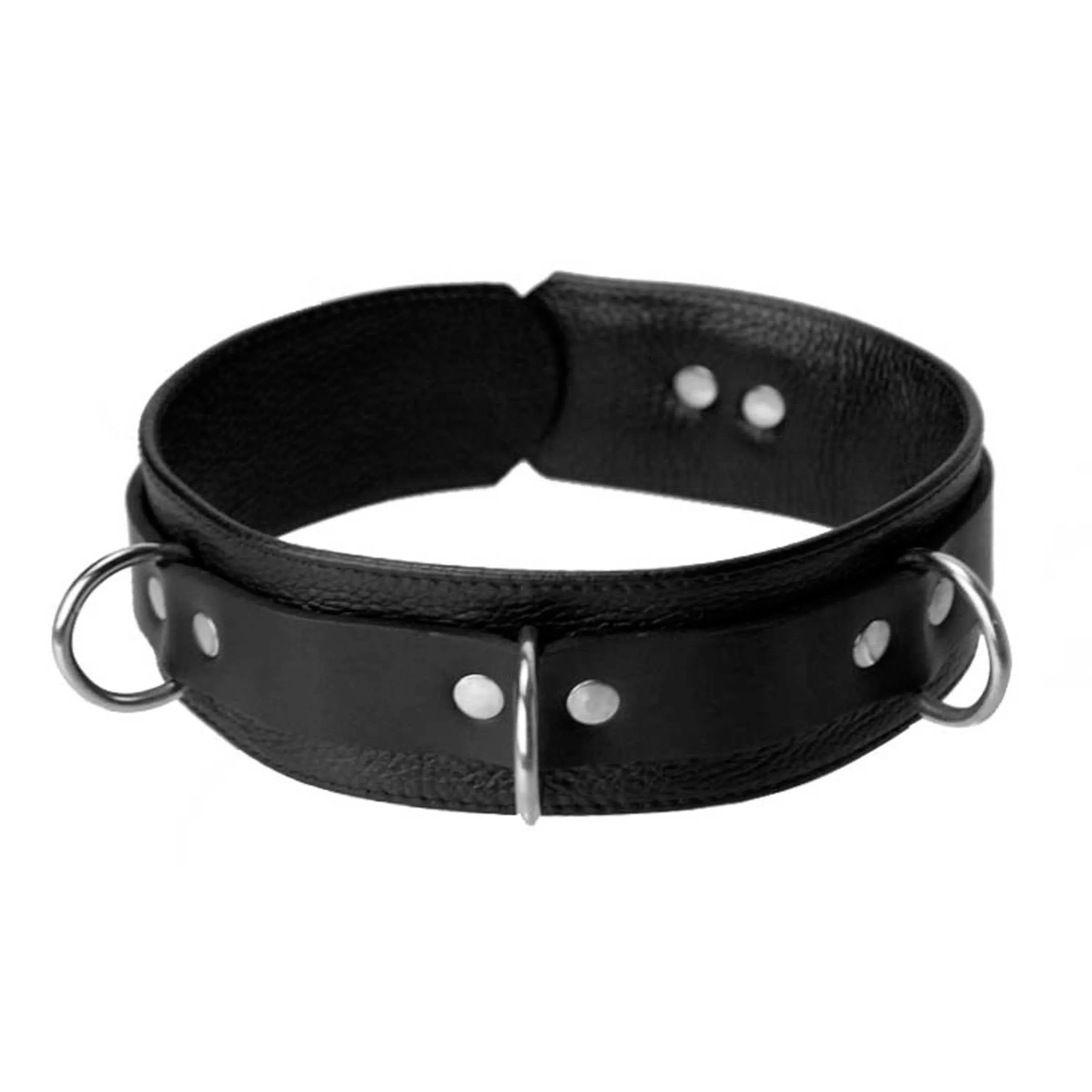 Sick Puppy Leash And Collar Kit